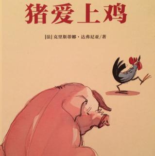 绘本故事《猪爱上鸡》（告诉孩子做真实的自己才精彩）