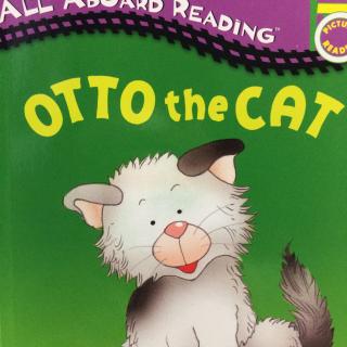 Otto the cat