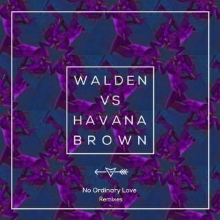 Walden Vs. Havana Brown - No Ordinary Love (Zwette Remix)
