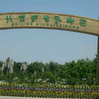 聊天：北京野生动物园游玩