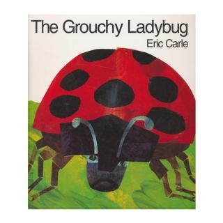 THE GROUCHY LADYBUG