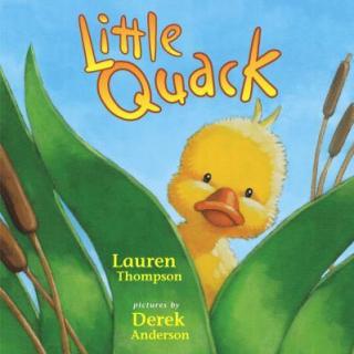 【糖豆听英文】Little Quack 小鸭子