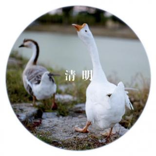 光阴——中国人的节气（清明）