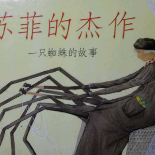 戴叔叔读故事 0132 《苏菲的杰作——一只蜘蛛的故事》