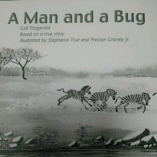 A Man and a Bug 跟读版