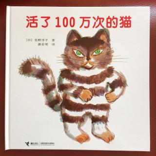 第82期蜜丝刘早教【活了100万次的猫】