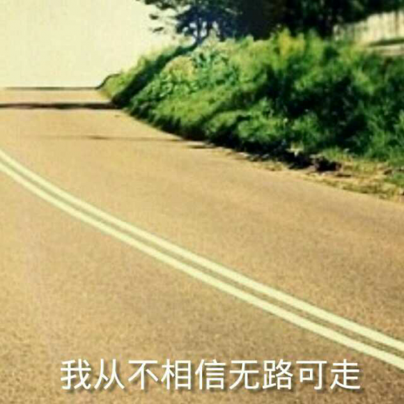 作者伊心《我从不相信无路可走》