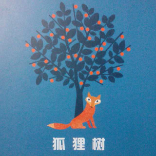 狐狸树