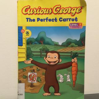 《Curious George The Perfect Carrot》英语