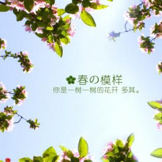 50.生命是一树花开