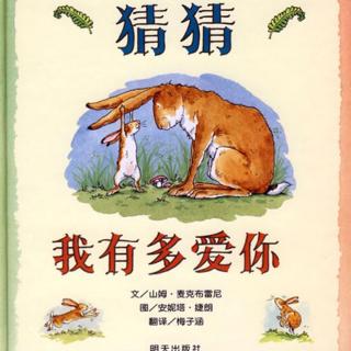 《猜猜我有多爱你》