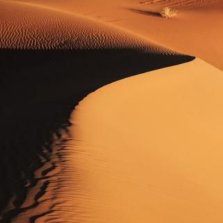 VOL.10 赴腾格里大漠，观黄沙漫卷