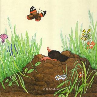 111)):小鼹鼠嘉宝