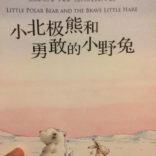 小北极熊和勇敢的小野兔