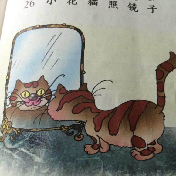 小花猫照镜子绘本故事图片