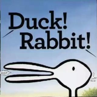 【英文绘本故事】Duck Rabbit