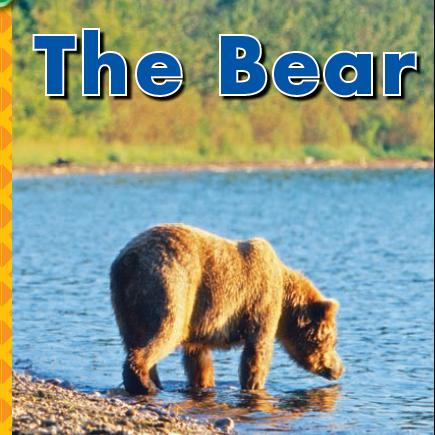 [scott foresman]the bear