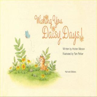 15.05.01 Wishing You Daisy Days