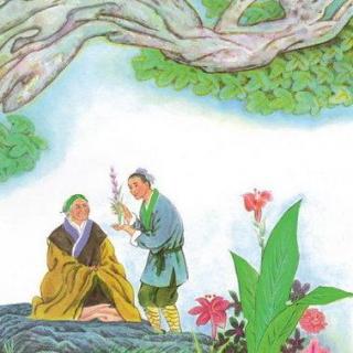 感恩节特辑~最美中国童话《知母草》