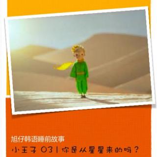 【中英韩三语】小王子 3  | 你从星星来的吗？