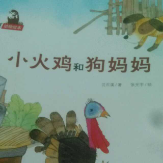 沈石溪动物绘本《小火鸡和狗妈妈》