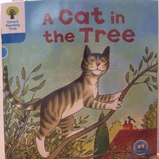 3-10A cat in the tree