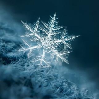 如果我是一片雪花