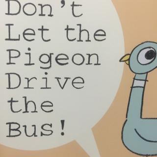 Don't let the Pigeon drive the bus