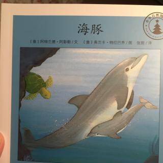 海豚