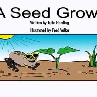 【Raz Kids美国原版分级阅读】A Seed Grows