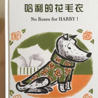 哈利的花毛衣