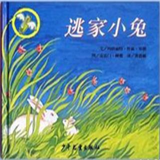 梅拉书吧电台——绘本《逃家小兔》中文版
