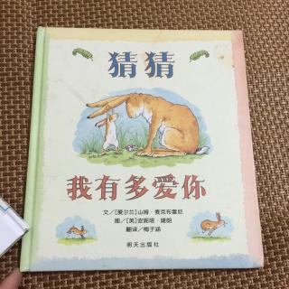 猜猜我有多爱你