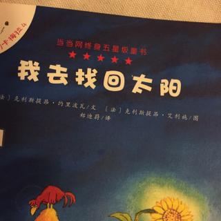 我去找回太阳-卡梅拉系列4