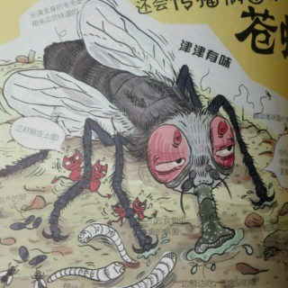 世界上最脏最脏的科学书-传播病原菌的苍蝇