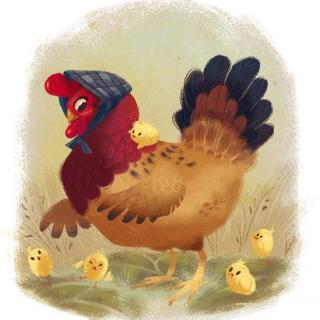 【可爱的动物】Vol.2：为什么鸡蛋壳有的白有的红？