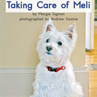 【听故事学英语】《照顾梅莉Taking Care of Meli》