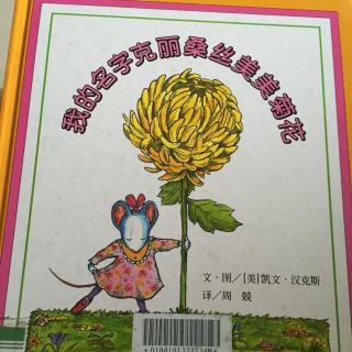 我的名字克丽桑丝美美菊花