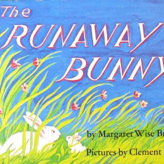 【艾玛读绘本】The Runaway Bunny逃家小兔 （中英文双语朗读）