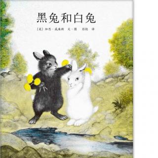 【听·绘本】黑兔和白兔