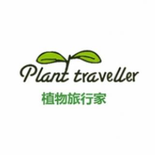 大爱有声·创未来 | 华南师范大学"Plant traveller"小盆栽传递大大爱
