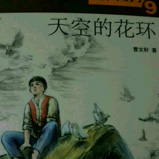 曹文轩画本《草房子》9《天空的花环》4