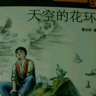 曹文轩画本《草房子》9《天空的花环》5