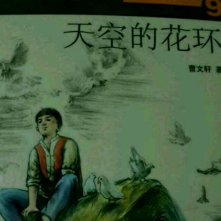 草文轩画本《草房子》9《天空的花环》6