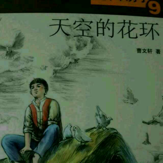 曹文轩画本《草房子》9《天空的花环》7