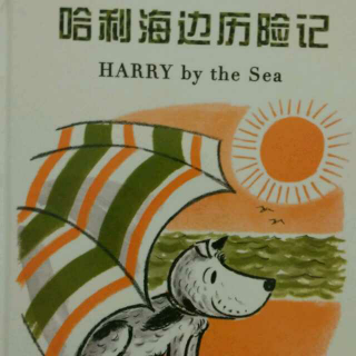 《哈利海边历险记》