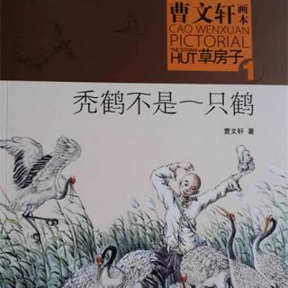 曹文轩画本《草房子》1《秃鹤不是一只鹤》