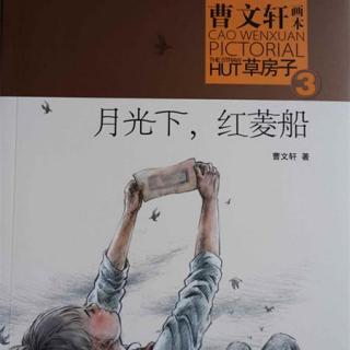 曹文轩画本《草房子》3《月光下，红菱船》上