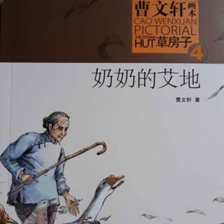 曹文轩画本《草房子》4《奶奶的艾地》下