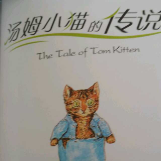 戴叔叔读故事 187 《汤姆小猫的传说》